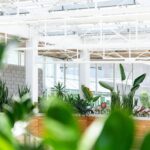 Gewächshaus 2026: Warum immer mehr Deutsche auf eigenes Grün setzen