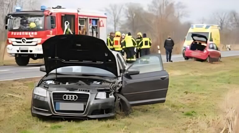 lausitznews – Das pulsierende Nachrichtenherz der Lausitz
