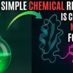 Was ist Bitesolgemokz Chemical? Ein umfassender Leitfaden