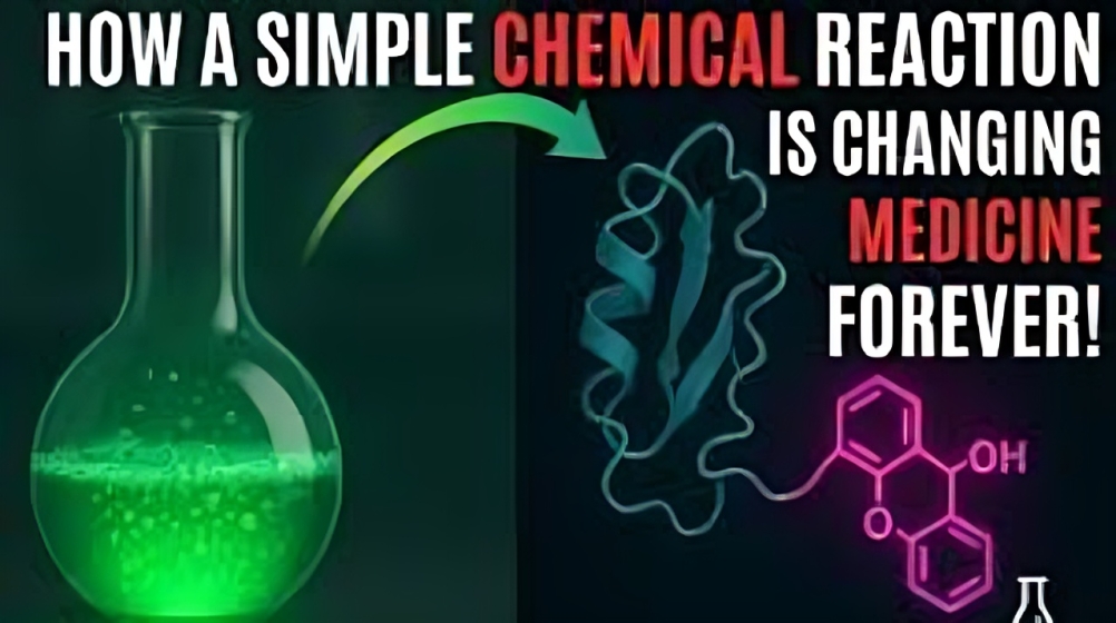 Was ist Bitesolgemokz Chemical? Ein umfassender Leitfaden